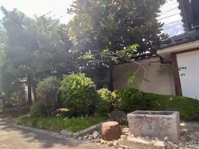 新德禅寺 (新徳寺)(京都府)