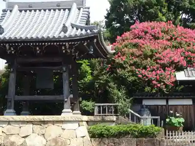 妙蓮寺のその他建物