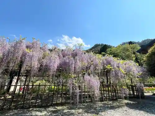 白毫寺熊野権現社(兵庫県)