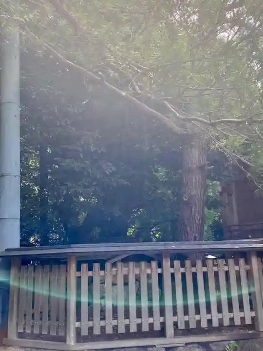 九頭竜大社(京都府)