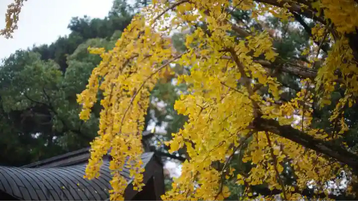 北野天満宮(京都府)