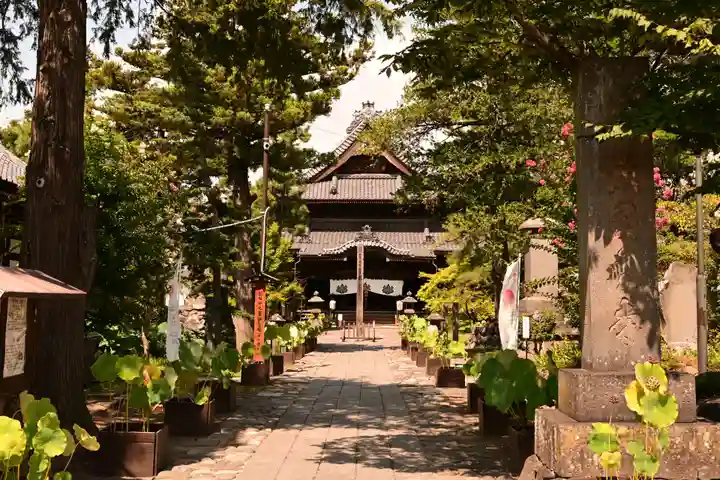 信濃國分寺(長野県)