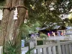 毛谷黒龍神社(福井県)