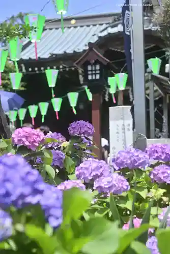 白山神社(東京都)