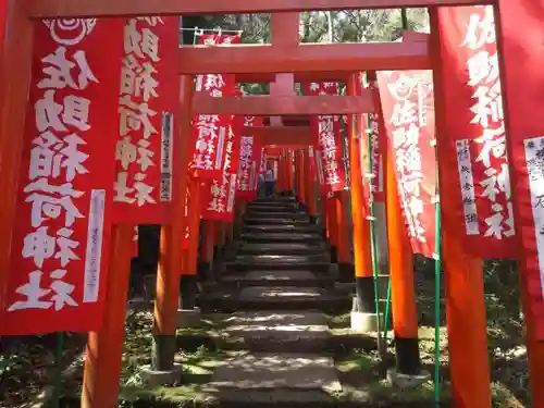 佐助稲荷神社の鳥居