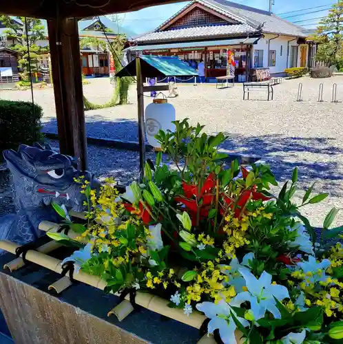 大歳神社の手水