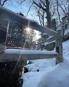 白石神社の庭園(2024年03月20日(水) 21時23分36秒投稿)