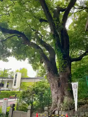 上野東照宮の{uncategorized: "未分類", other: "その他", undefined: "問題あり", building: "その他建物", grave: "お墓", sacred_gate: "鳥居", guardian: "狛犬", statue: "像", buddha: "仏像", history: "歴史", nature: "自然", garden: "庭園", animal: "動物", pagoda: "塔", temizu: "手水舎", mountain_gate: "山門・神門", sanctuary: "本殿・本堂", subordinate: "末社・摂社", art: "芸術", scenery: "景色", jizo: "地蔵", ema: "絵馬", goshuin: "御朱印", omikuji: "おみくじ", items: "授与品その他", amulet: "お守り", goshuincho: "御朱印帳", eats: "食事", festival: "お祭り", votive_dance: "神楽", shichigosan: "七五三参", wedding: "結婚式", experience: "体験その他", initially: "初詣", around: "周辺", anti_infection: "感染症対策"}