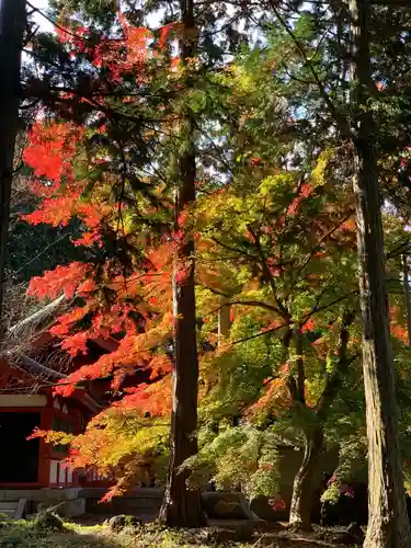 冨士御室浅間神社の自然