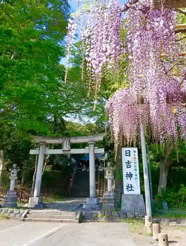 日吉神社の{uncategorized: "未分類", other: "その他", undefined: "問題あり", building: "その他建物", grave: "お墓", sacred_gate: "鳥居", guardian: "狛犬", statue: "像", buddha: "仏像", history: "歴史", nature: "自然", garden: "庭園", animal: "動物", pagoda: "塔", temizu: "手水舎", mountain_gate: "山門・神門", sanctuary: "本殿・本堂", subordinate: "末社・摂社", art: "芸術", scenery: "景色", jizo: "地蔵", ema: "絵馬", goshuin: "御朱印", omikuji: "おみくじ", items: "授与品その他", amulet: "お守り", goshuincho: "御朱印帳", eats: "食事", festival: "お祭り", votive_dance: "神楽", shichigosan: "七五三参", wedding: "結婚式", experience: "体験その他", initially: "初詣", around: "周辺", anti_infection: "感染症対策"}