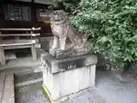 熊野神社の狛犬