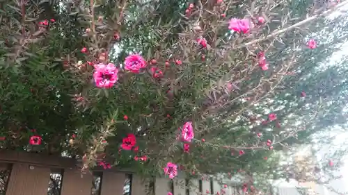 立浪稲荷大明神の自然