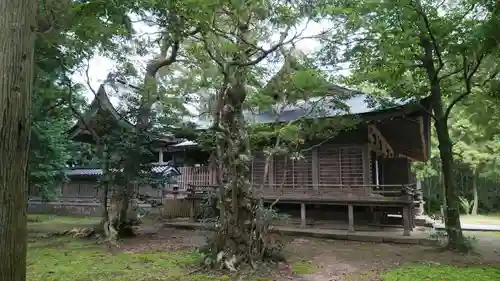 倭文神社の本殿