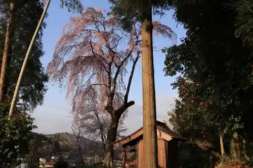 愛宕神社の景色