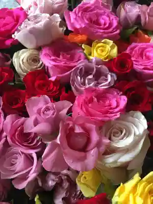 札幌諏訪神社の手水舎