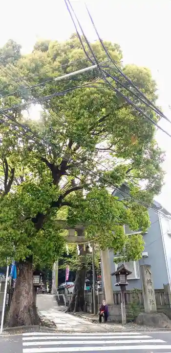 中目黒八幡神社の鳥居