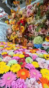 金蛇水神社(宮城県) 2024年09月15日(日)〜(2024年09月15日(日) 11時17分38秒投稿)