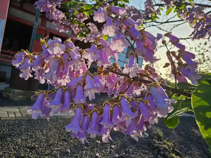 津観音(三重県)