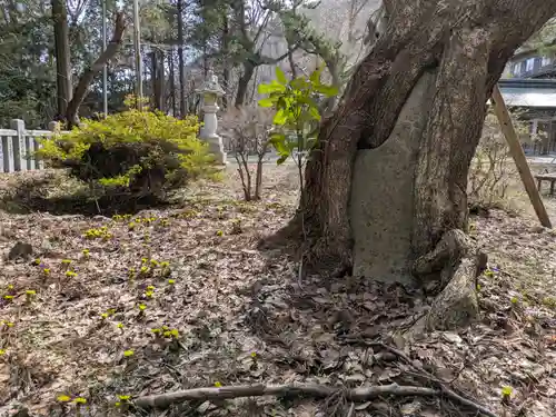 函館八幡宮(北海道)