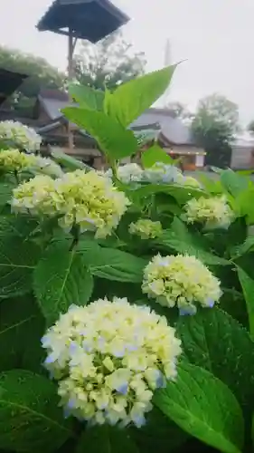 尾張大國霊神社（国府宮）の自然
