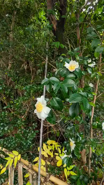 水無瀬神宮(大阪府)