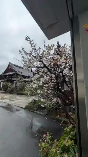 成道院(京都府)