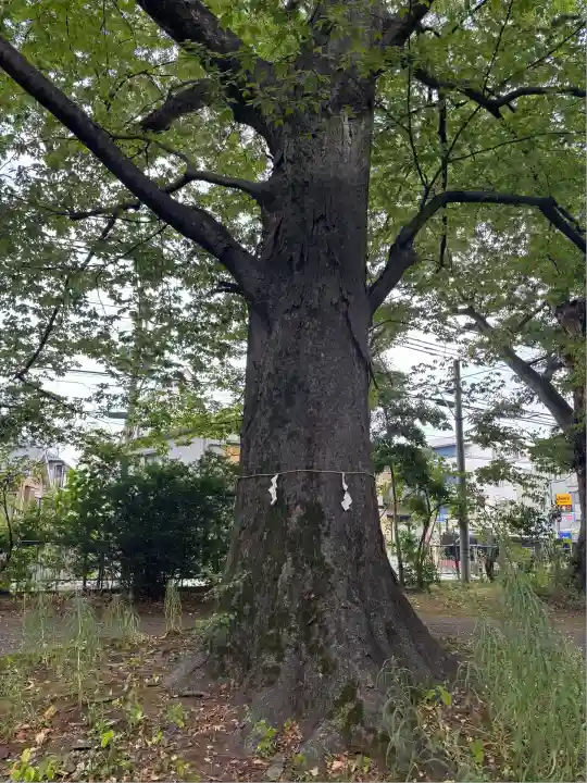 北野天満社(東京都)