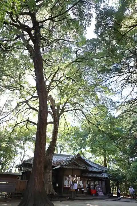 氷川女體神社のその他建物