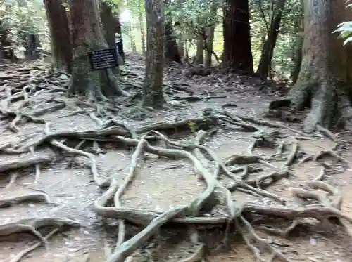 由岐神社の自然