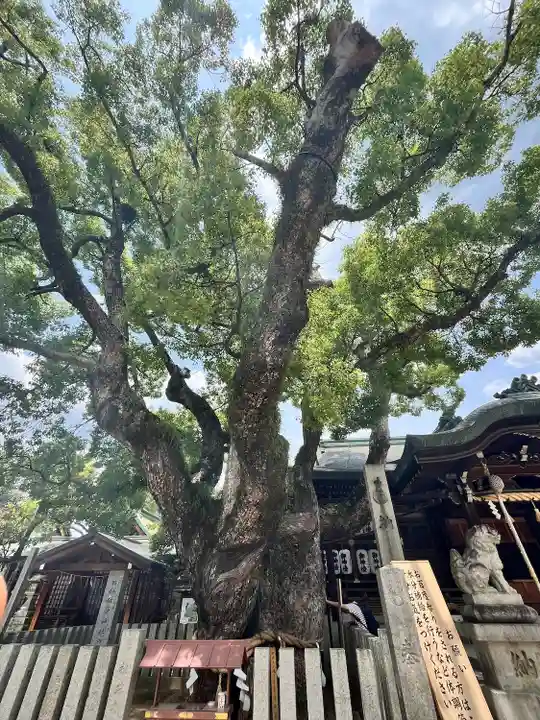 石切劔箭神社(大阪府)