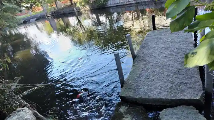 稗田野神社(薭田野神社)(京都府)