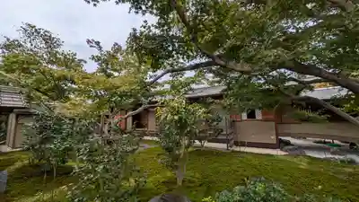 黄梅院(京都府)