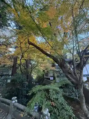 誕生寺(岡山県)