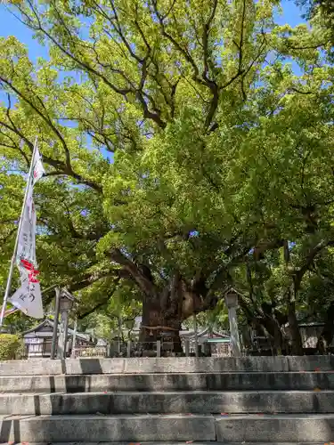 大麻比古神社(徳島県)