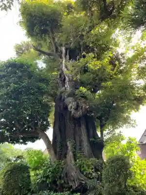 歓喜院(千葉県)