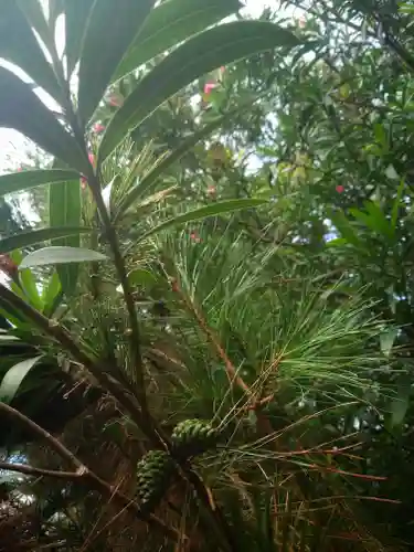 白髭社(愛知県)