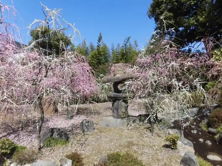 城南宮(京都府)