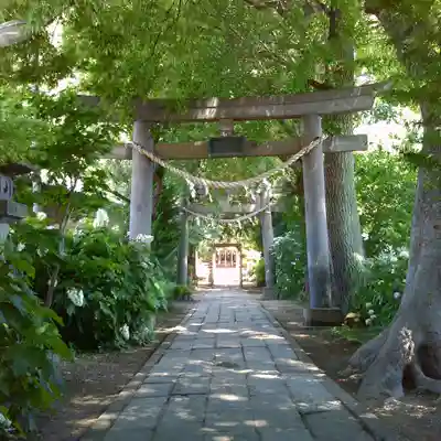 越谷香取神社の鳥居