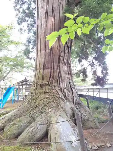 光林寺(岩手県)