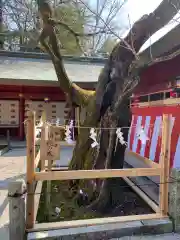 笠間稲荷神社(茨城県)