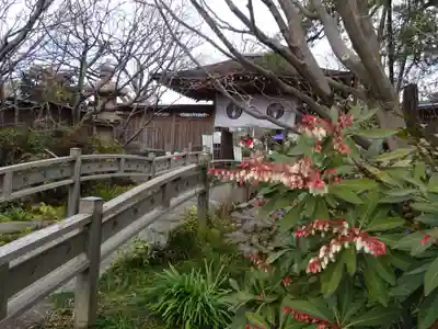 常泉寺のその他建物