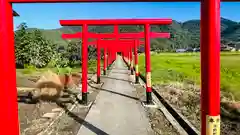 粟津稲生神社(島根県)