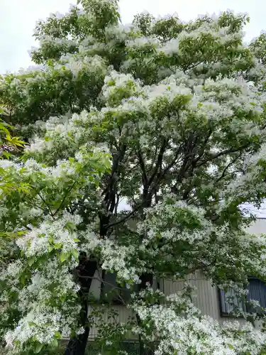 慈眼寺(愛知県)