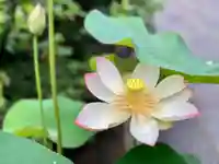 伊勢の国 四天王寺(三重県)