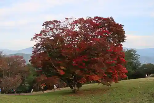 覚音寺の景色