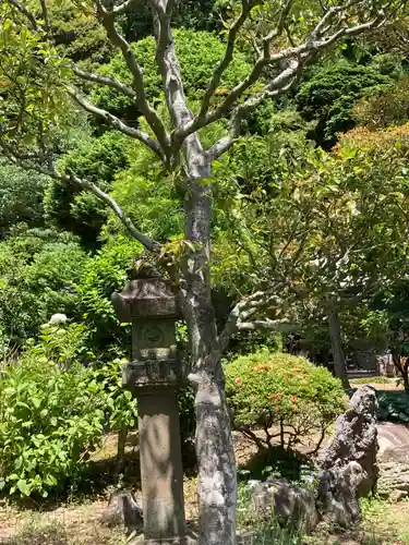 大長寺(神奈川県)