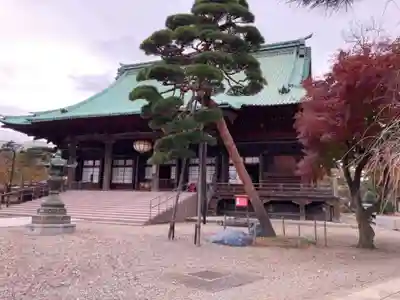 護国寺の本殿・本堂