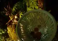 深澤銭洗弁財天のその他建物