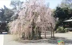 大國魂神社の自然