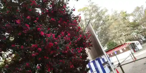 藤森神社(京都府)